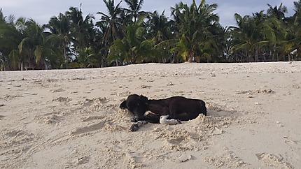 Beach siesta
