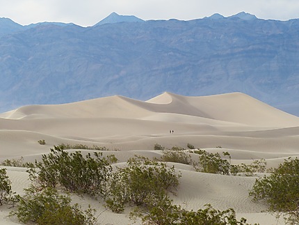Belles dunes dans la vallée de la mort