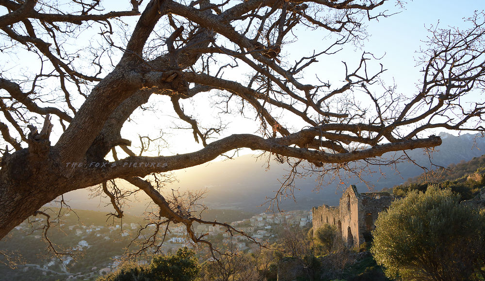 Ruine d'Occiglioni au soleil levant