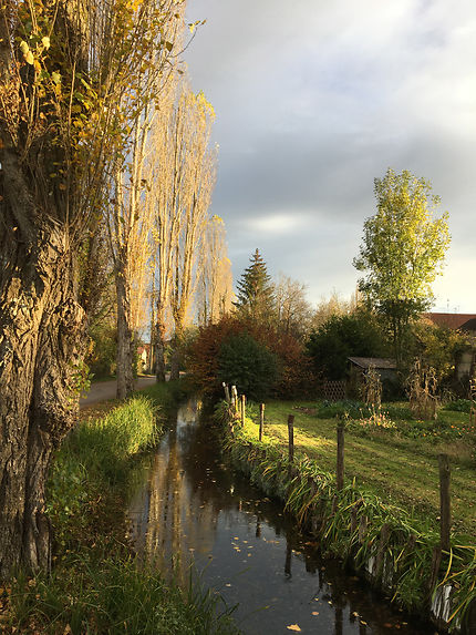 Couleurs d’automne en Bourgogne 