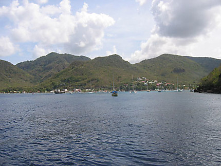 Martiniqua