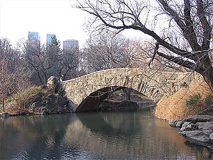 Central park en hiver