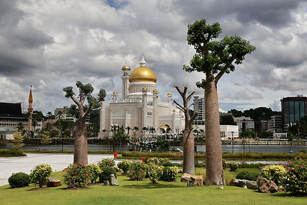 Mosquée Omar Ali Saifuddien vue du parc