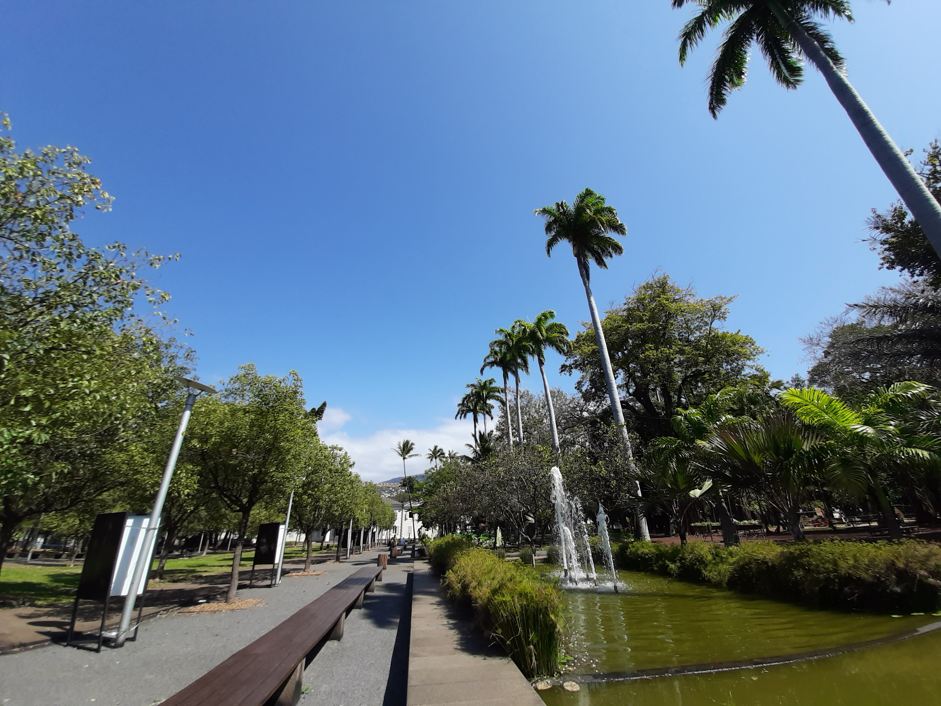 Jardin de l’Etat, St-Denis de La Réunion 