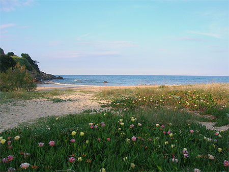 Plage de Fautea Plage de Fautea