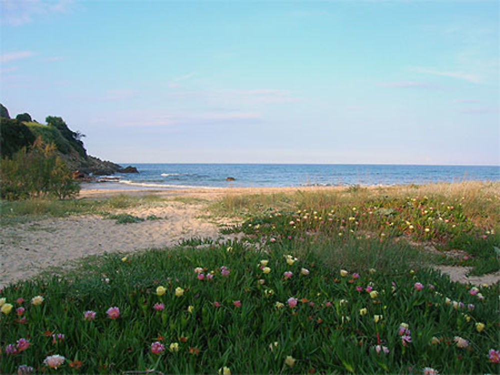 Plage de Fautea