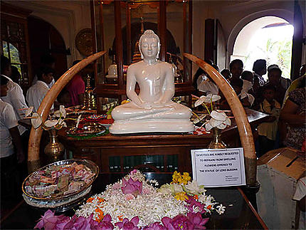 Offrande à Bouddha