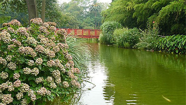 Jardin des Capellans : Jardin des plantes des Capellans : Saint-Cyprien