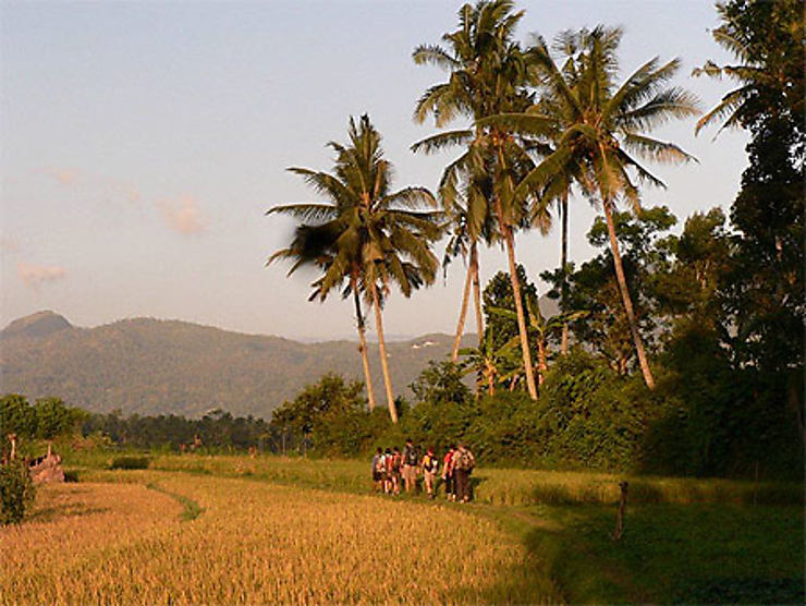 Est de Bali - FREDDY