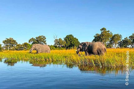 Le Botswana en Immersion