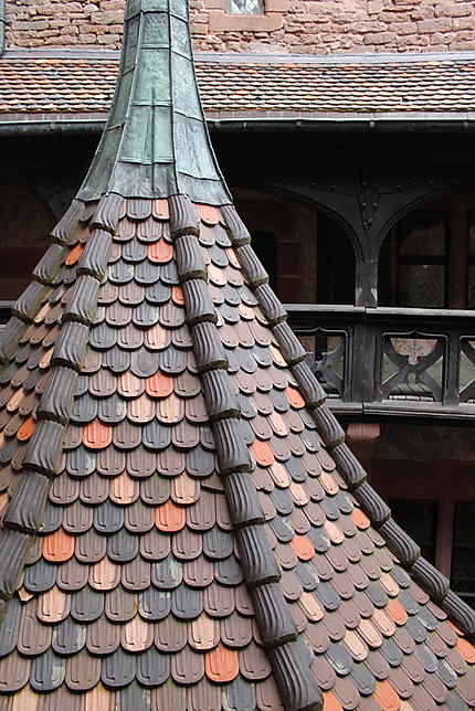 Les toits du château
