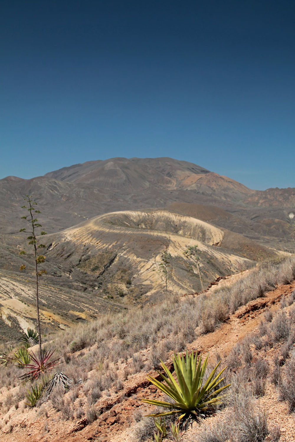 Mt cadorniz, monte jacinto, tope de coroa