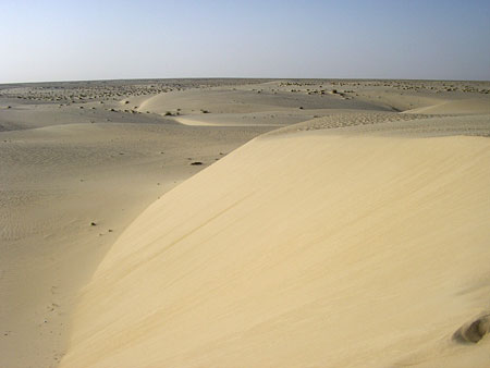 Dunes de Nefta Dunes de Nefta