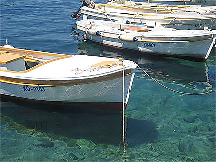 Dans le port de Lumbarda, y'a des bâteaux qui chantent !