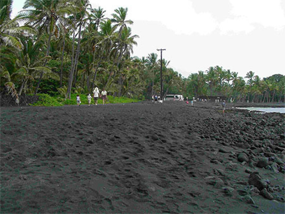 Punalu'u Black Sand Beach 