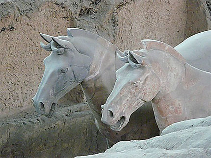 Chevaux de l'Armée Enterrée