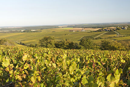 Auxerre et Chablis : l’Yonne, de vignobles en châteaux