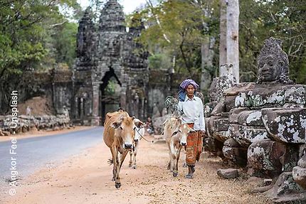 Le Cambodge en Immersion