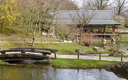 Jardin japonais