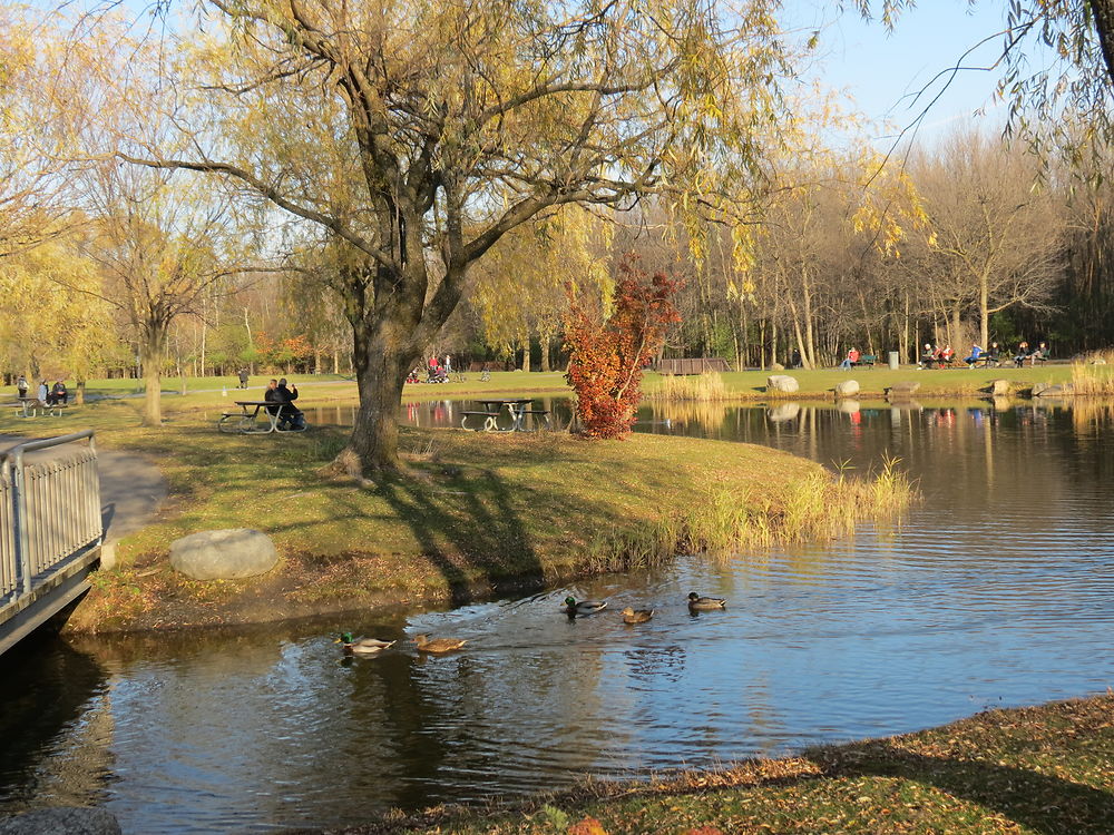 Parc Michel Chartrand Longueuil