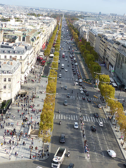La vie intense des Champs Elysées 