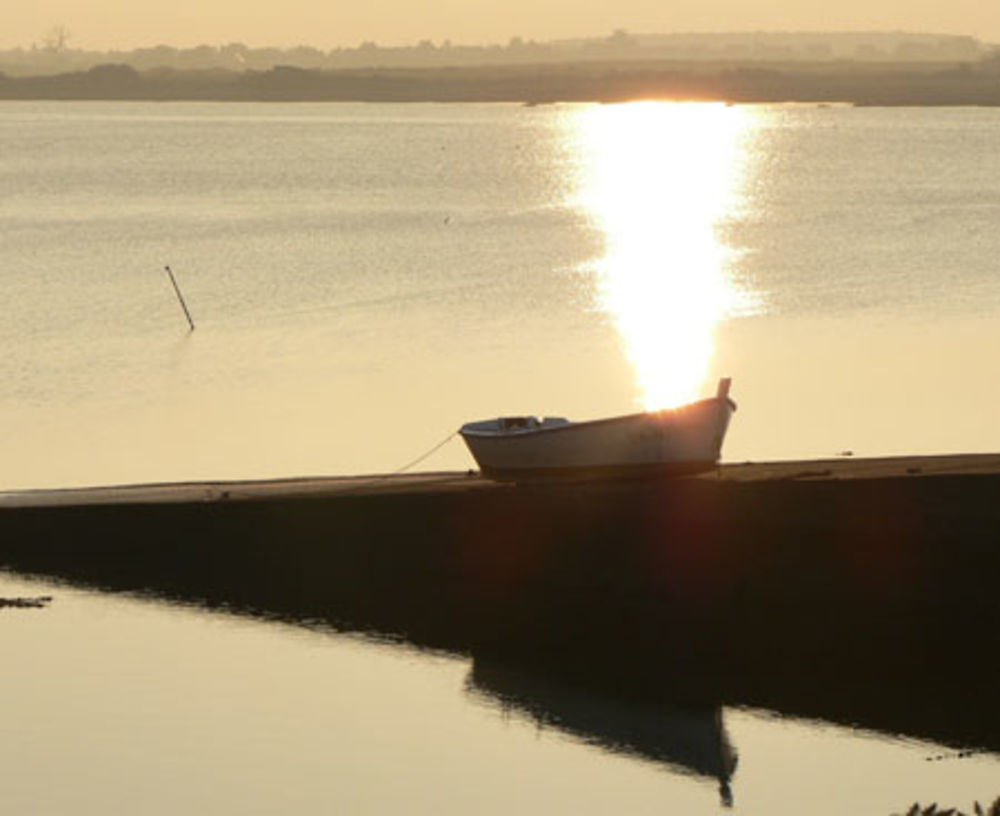 Au fond du golfe