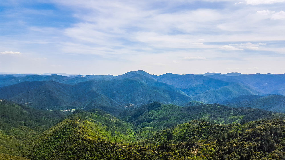 Cévennes à l'infini