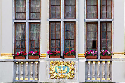 Bruxelles - Grand-Place - Elégantes fenêtres