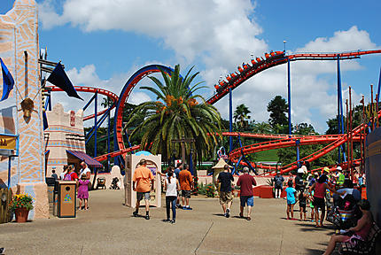 Vue de Busch Gardens