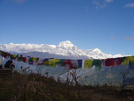 Vue sur l'Annapurna