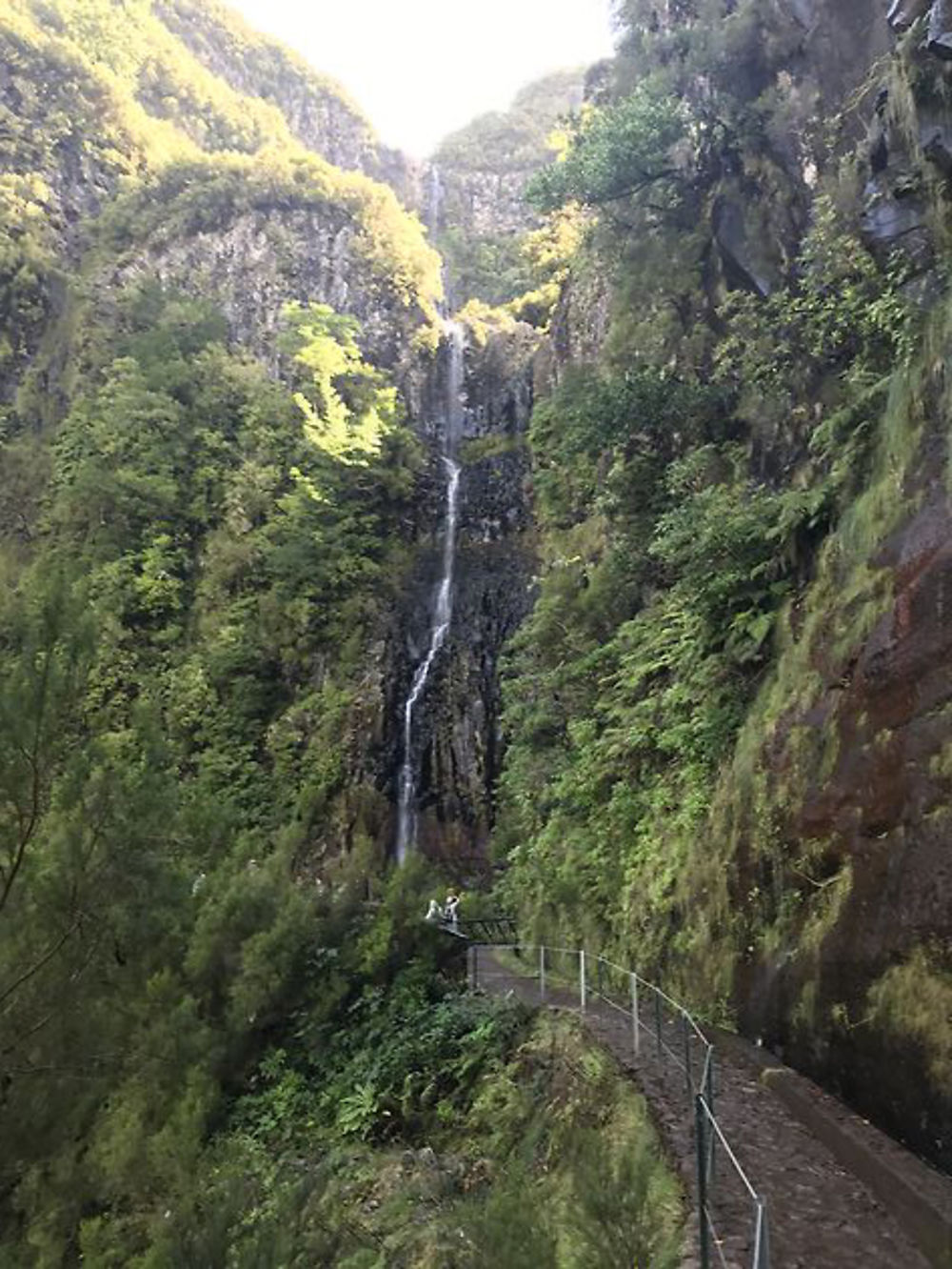 Levada do Risco - Cascade