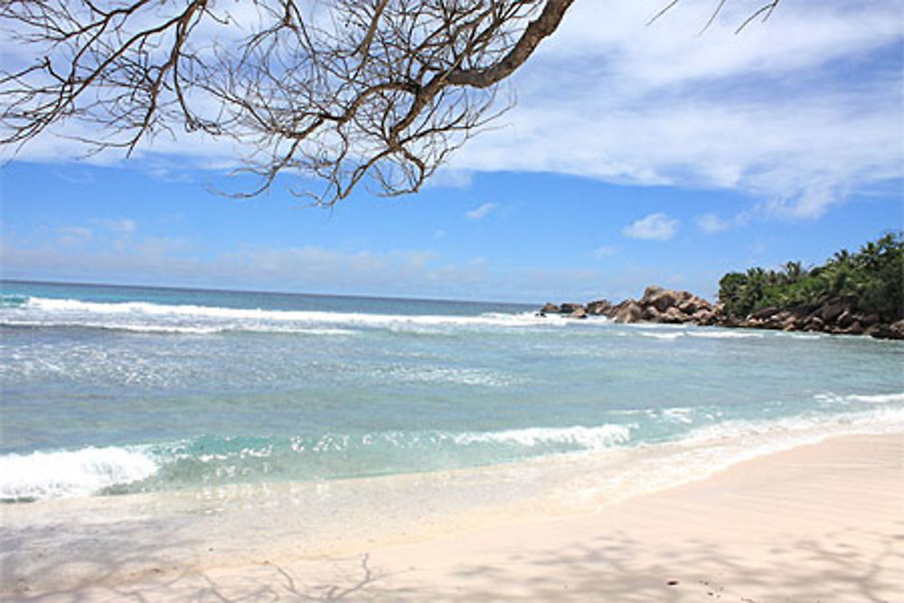 Anse Coco