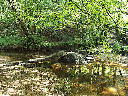 Pont de pierre dans la forêt d'Huelgoat