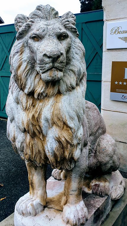 Lion de Beaumanoir 