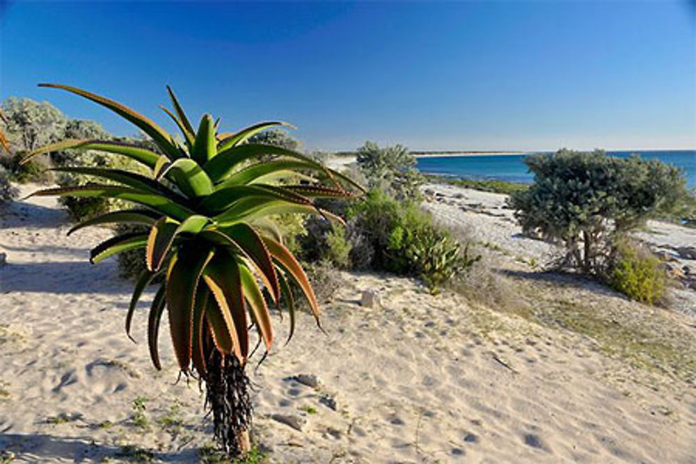 Plage d'Itampolo