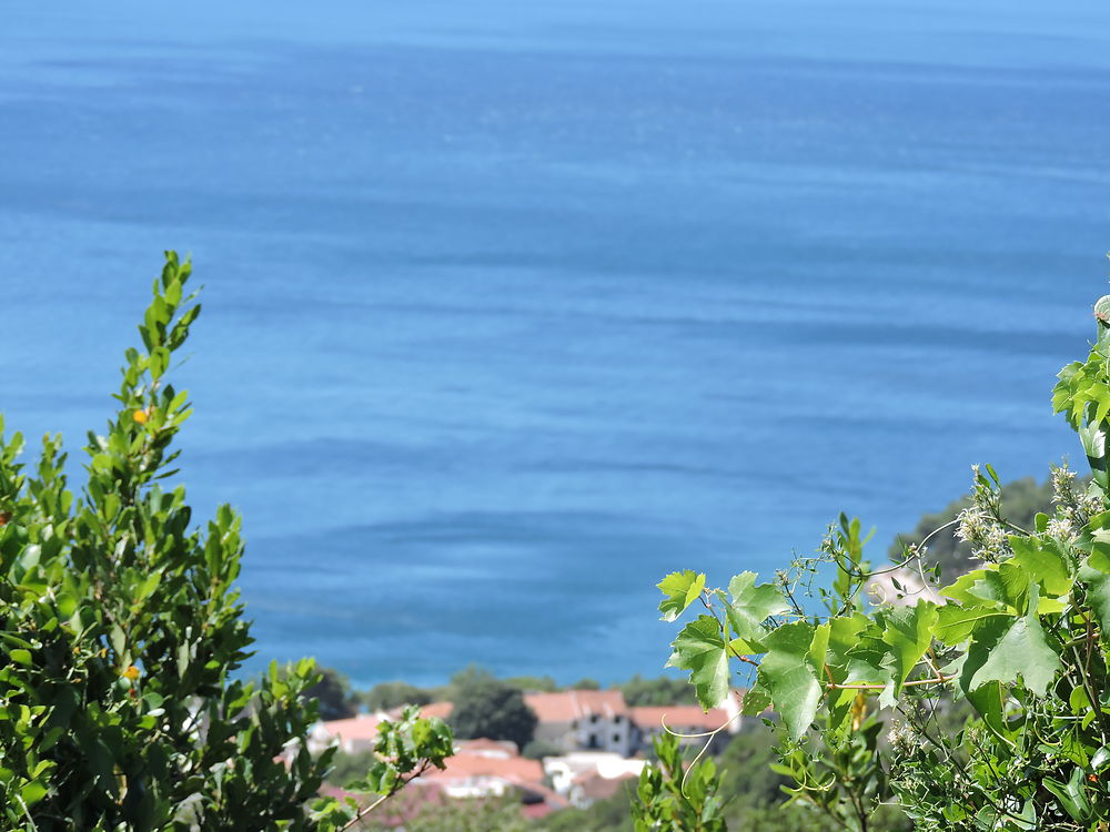 Dvrenik, du haut des montagnes