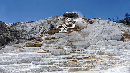 Concrétions calcaires à Yellowstone