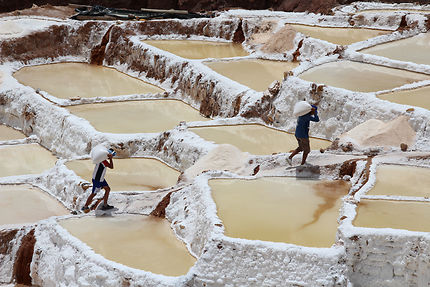 Les travailleurs du sel 