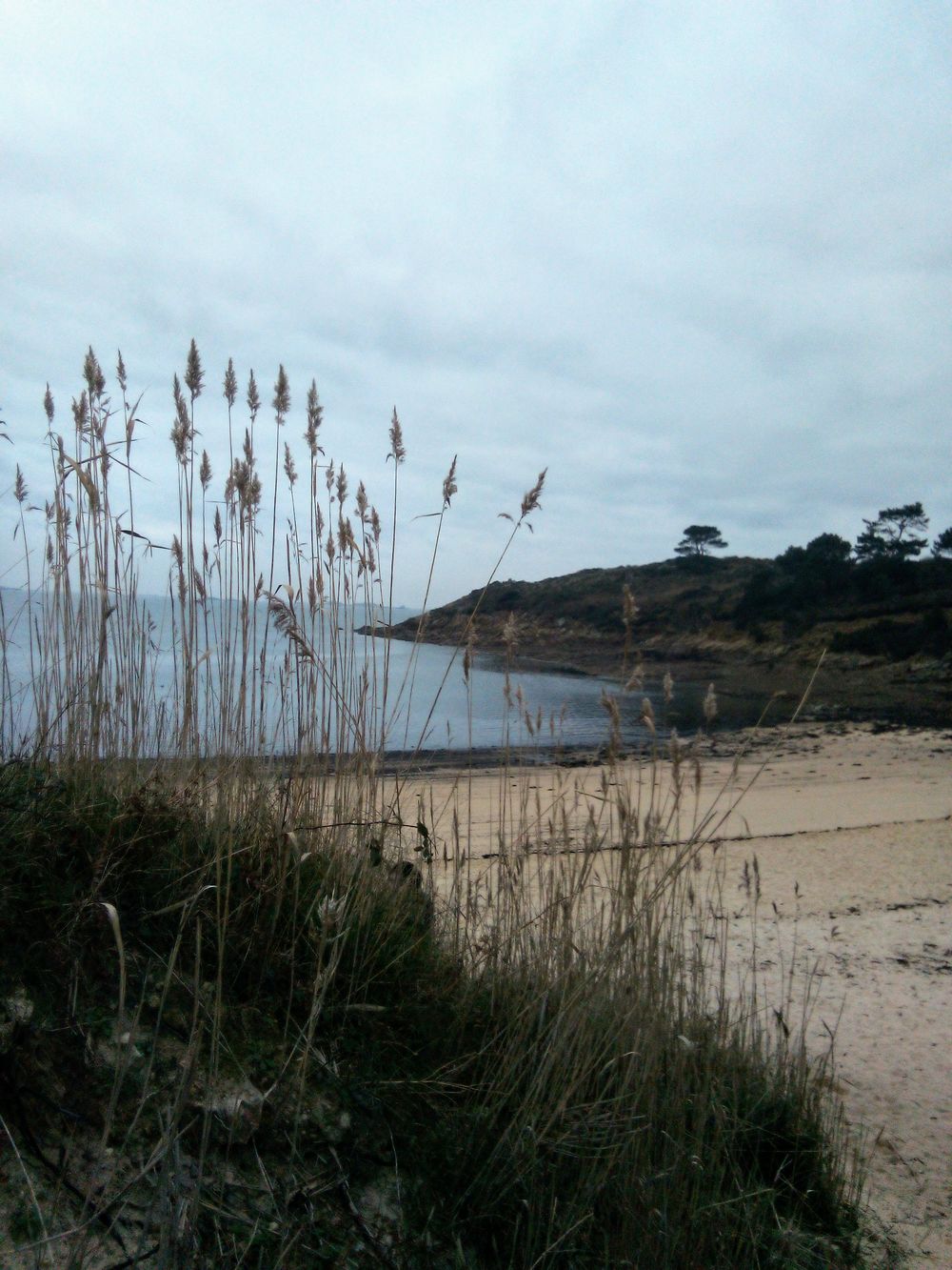 Carantec en Bretagne