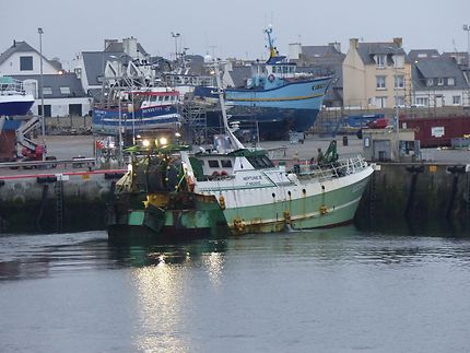 Retour de pêche en soirée très fraîche 