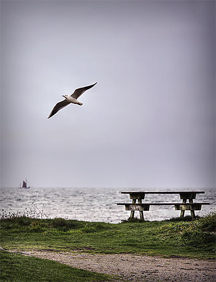 Sur terre, sur mer et dans les cieux
