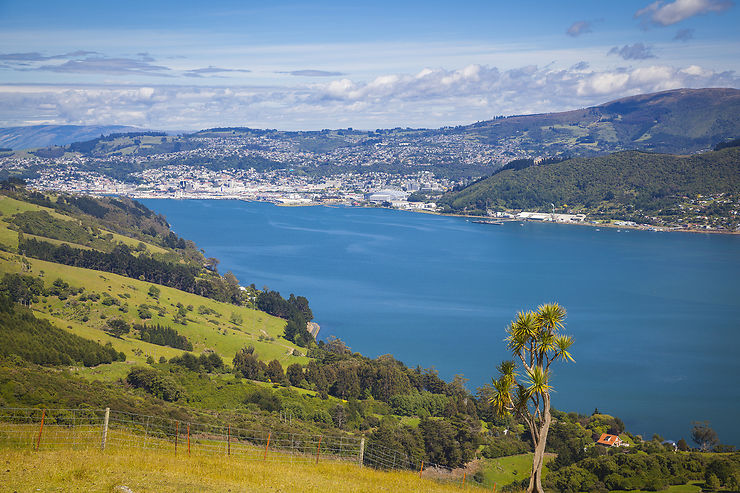 Dunedin et Otago Peninsula
