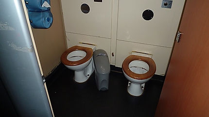 Twin toilets