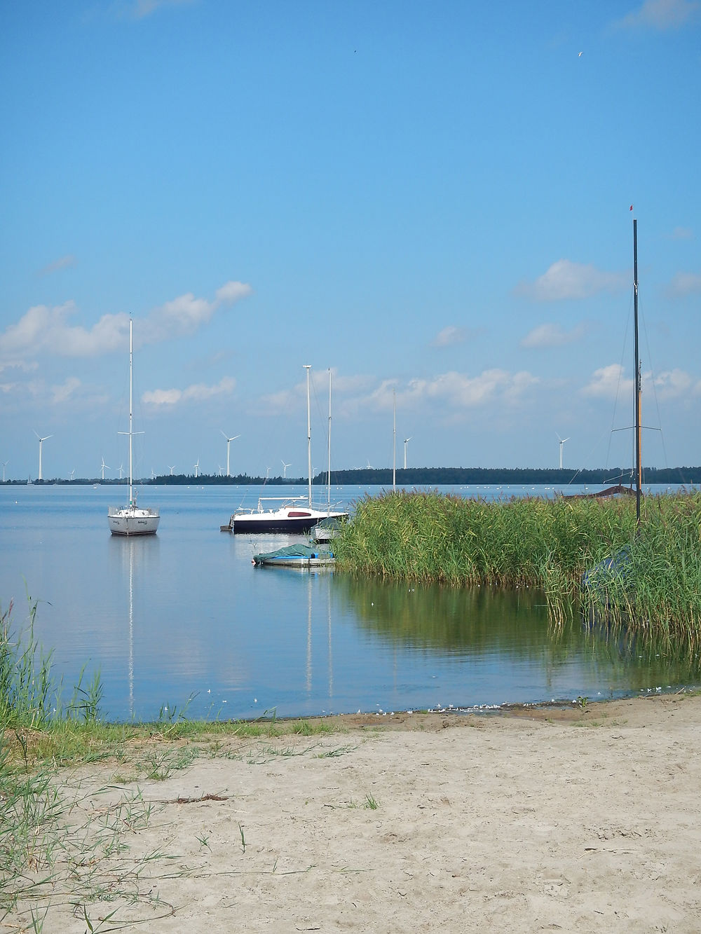 Petite plage à Harderwijk