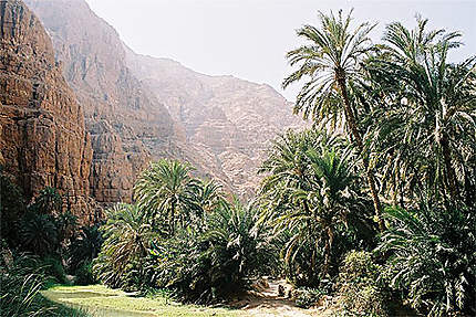 Wadi Shab