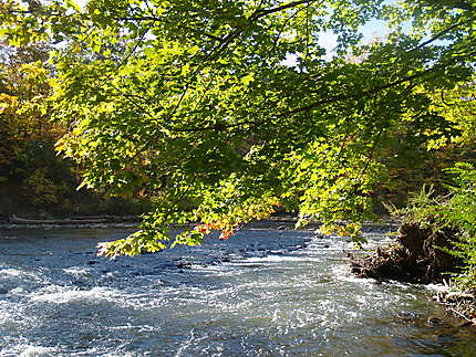 Cuyahoga NP