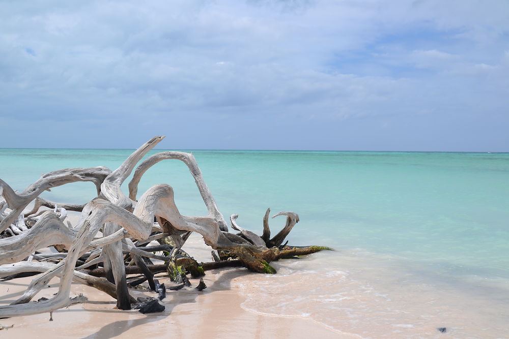 Plage cayo Jutias