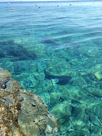 Les eaux claires de Crète, à Agia Pelagia