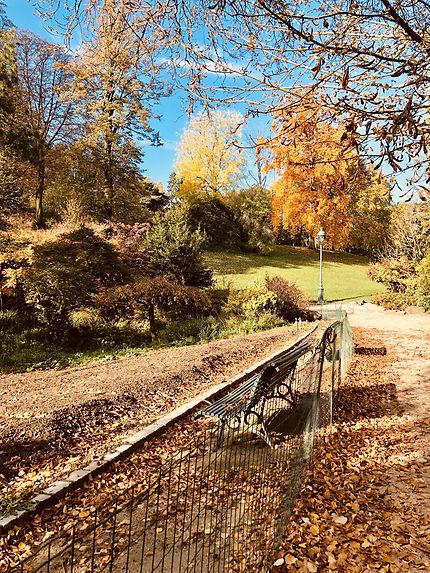 Un automne au Parc Montsouris 