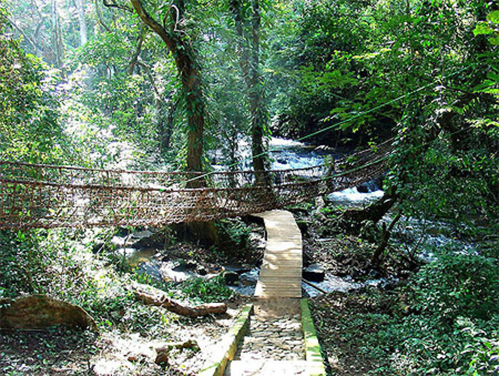 Pont de lianes aux cascades de MAN